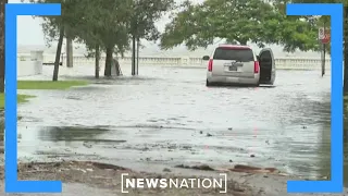 Hurricane Idalia: Tampa braces for high tide | NewsNation Live