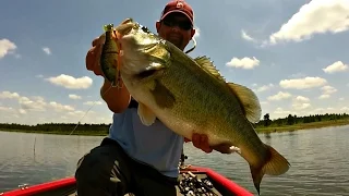 9 lb 8 oz Bass Caught on the Jackall Gantarel Jr - Swimbait Bass Fishing