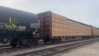 Strolling thru Gemco Yard today Union Pacific Van Nuys CA 12-29-23