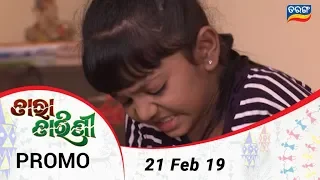 Tara Tarini | 21 Feb 19 | Promo | Odia Serial – TarangTV