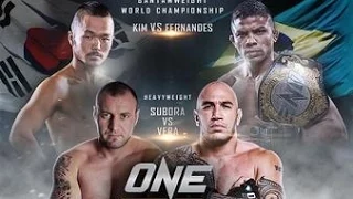 One FC 23: Warrior's Way Bibiano Fernandes vs Dae Hwan Kim