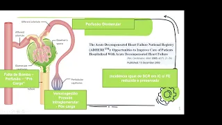 Síndrome cardiorrenal