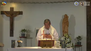 Healing Prayers with Fr Jerry Orbos SVD - January 24 2021 - 3rd Sunday in Ordinary Time