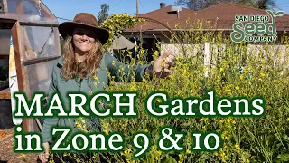 San Diego March Garden Tour | Prepping for Spring in Zones 9 & 10