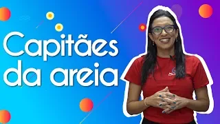 Capitães da Areia | Análise Literária - Brasil Escola