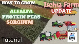 How To Grow ALFALFA, PROTEIN PEAS, AND SORGHUM in Farming Simulator 19!!