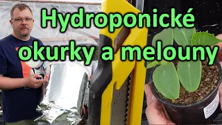 26. Pěstování okurek a melounů v hydroponii