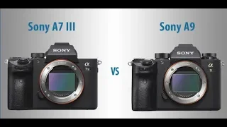 Sony a9 vs a7iii long term review