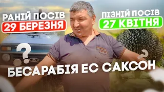 Раній чи пізній срок посіву ? [ БЕСАРАБІЯ ЕС САКСОН 🌻 ] Готуємось до уборки Соняшника 2023