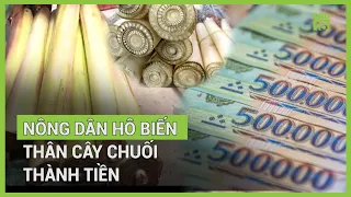 Biến thân cây chuối thành tiền | VTC16