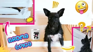 Lana Reacciona al PAPEL HIGIÉNICO CHALLENGE! Retos Divertidos!