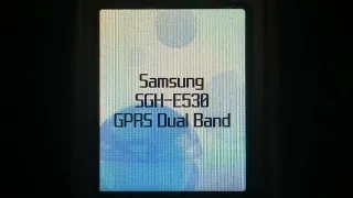 Samsung E530 Startup boot screens & external display