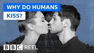 Why do humans kiss? - BBC REEL