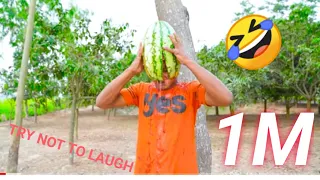 Must Watch New Funny Video 2021 Top New Comedy Video 2021 Try To Not Laugh Episode 187 By my family