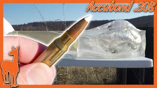 Nosler Accubond 308 Winchester Ballistics Gel Test 💥 100 Yards