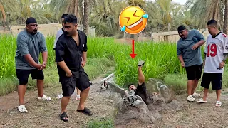 Best Arab Friends Pranks 🤣 Videos #073 – Arabs are Very Funny 😂 | Arabic Humor Hub