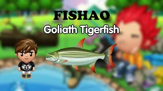 Fishao | Goliath Tigerfish