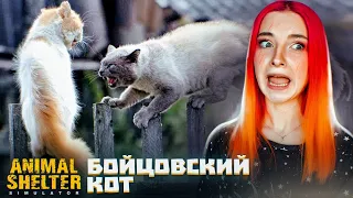 БОЙЦОВСКИЙ КОТ ПОСЛЕ ДРАКИ в ПИТОМНИКЕ ► Animal Shelter #5