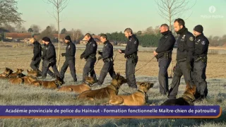 No Comment Formation des maîtres-chiens de patrouille /Opleiding Patrouillehondengeleider