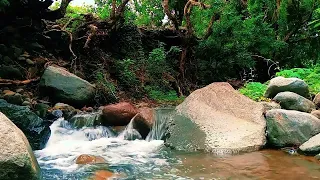 Relaxing River Sound, Forest River Nature Sound - Mountain Stream Waterfall, White Noise for Sleep