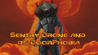 A PowerPoint about Sentry Drone