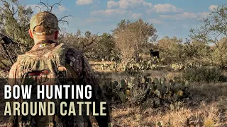 Bow Hunting on a Cattle Ranch