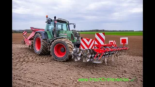 Fendt 820 Vario TMS + Agram Roll Avant 300 OND + Horsch Express 3 Td -Thibault Galand (Anhée)