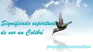 El Colibrí y su significado espiritual