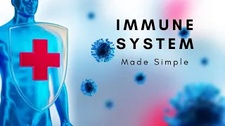 IMMUNITY CRASH COURSE: Immune System Made Easy with Immunity Booster Tips