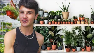 Small Plants To Fit Anywhere! Great For Dorms!