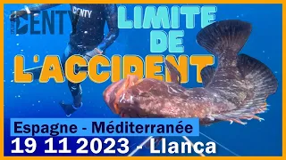 Limite accident en Chasse sous-marine sur un Mérou