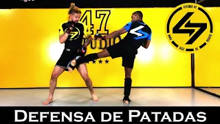 MMA | 💎 Defensas de PATADAS 🦵 [Low Kick, Middle Kick, High Kick, Frontal] - En Español