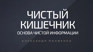 Чистый кишечник – основа чистой информации. Александр Палиенко.