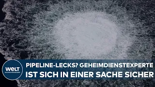 NORD-STREAM-LECKS: Geheimdienstexperte ist sich sicher! "Da steckt staatlicher Terrorismus hinter"