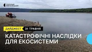 Чому міліє Дністер, два місяці без амбулаторії, «ведмежа» арттерапія | 31.05.2024