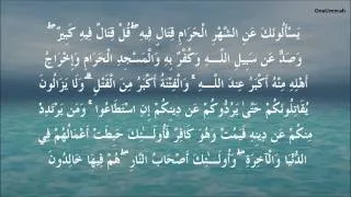 Surah 2: Al Baqarah (The Cow) سورة البقرة Verses 197 - 224