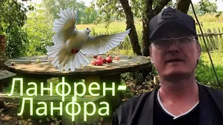 Ланфрен-Ланфра. Под гитару : Евгений Бовкун. Кавер.