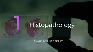 Histopathology