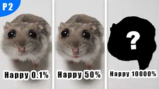 Sad Hamster Becomes Happy