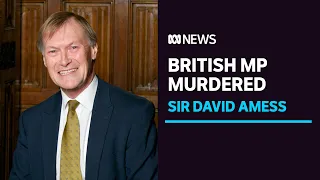 Stabbing murder of British MP ruled a terrorist incident | ABC News