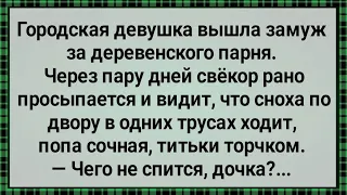 Как Городская Девушка Вышла Замуж За Деревенского! Сборник Свежих Анекдотов! Юмор!