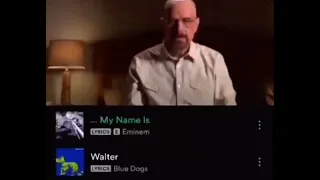 Walt’s Confession But It’s A Spotify Playlist￼