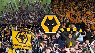 The best of Wolves fans, chants and limbs!