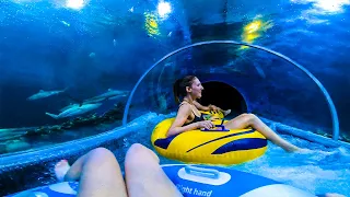 Scary SHARK Slide at Aquapark Reda in Poland [Full Ride with Wild River]