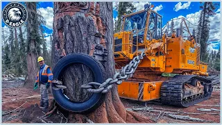 100 Incredible Fastest Big Chainsaw Machines For Cutting Trees