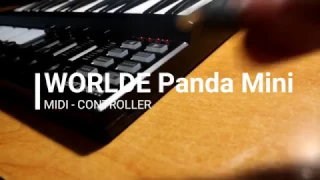 Как подключить контроллер? Обзор. WORLDE Panda Mini