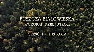 Puszcza Białowieska. Wczoraj, dziś i jutro. Część 1 - HISTORIA