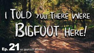 I Told you There Were Bigfoot Here! - My Bigfoot Sighting Episode 21