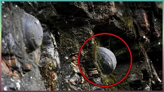 Odkryto dziwną górę, która co 30 lat znosi kamienne jaja