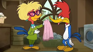 Woody Woodpecker | Woody's mother is upset | Woody Woodpecker
